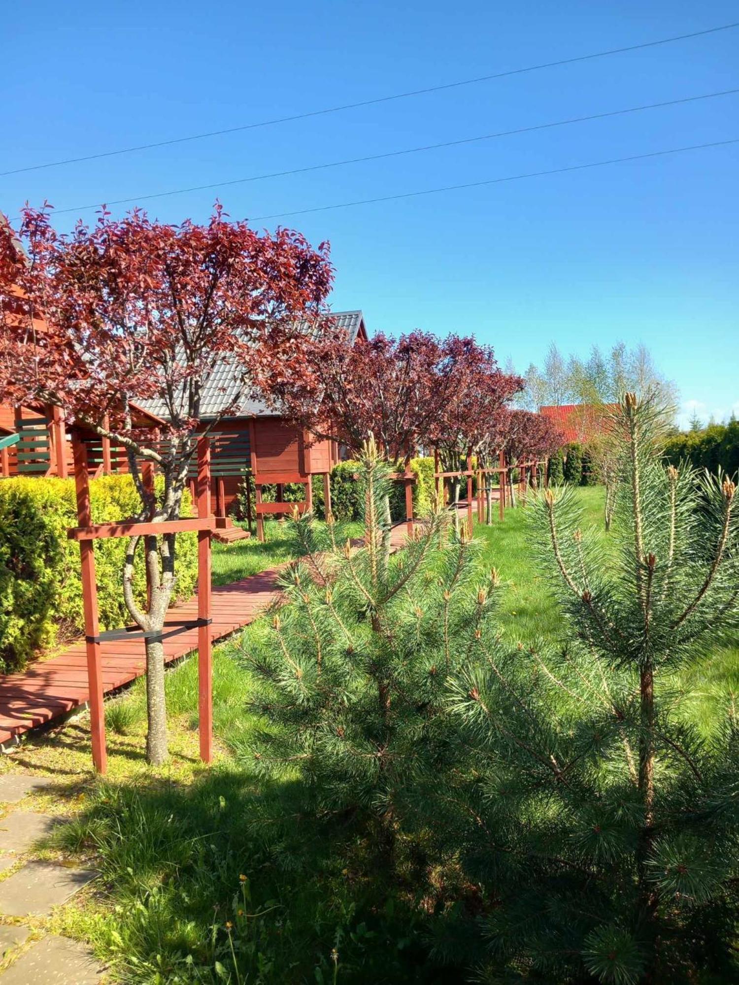 Mandarynka Ow Villa Jarosławiec Dış mekan fotoğraf